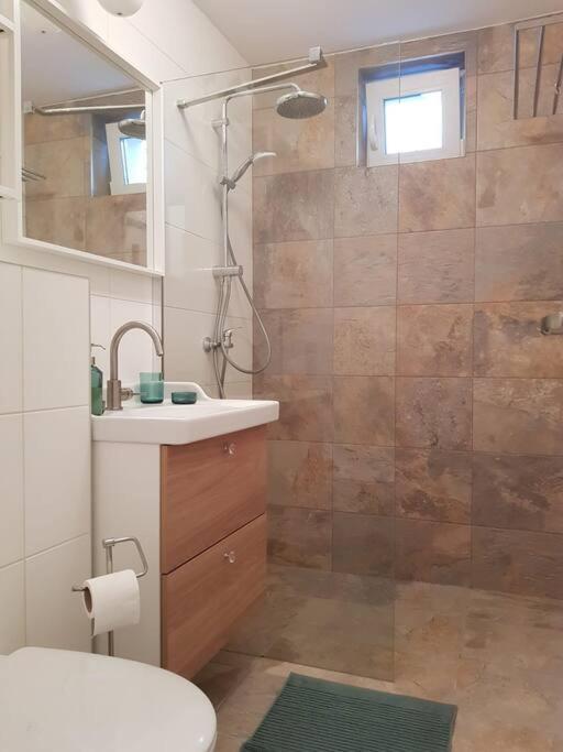 Living City, Apartament Cu Doua Dormitoare Sibiu Dış mekan fotoğraf